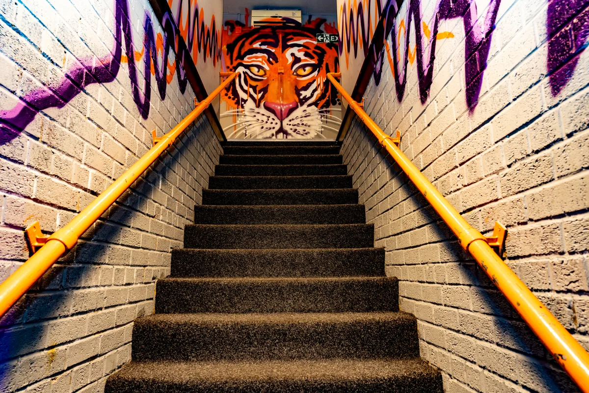 Tiger staircase artwork